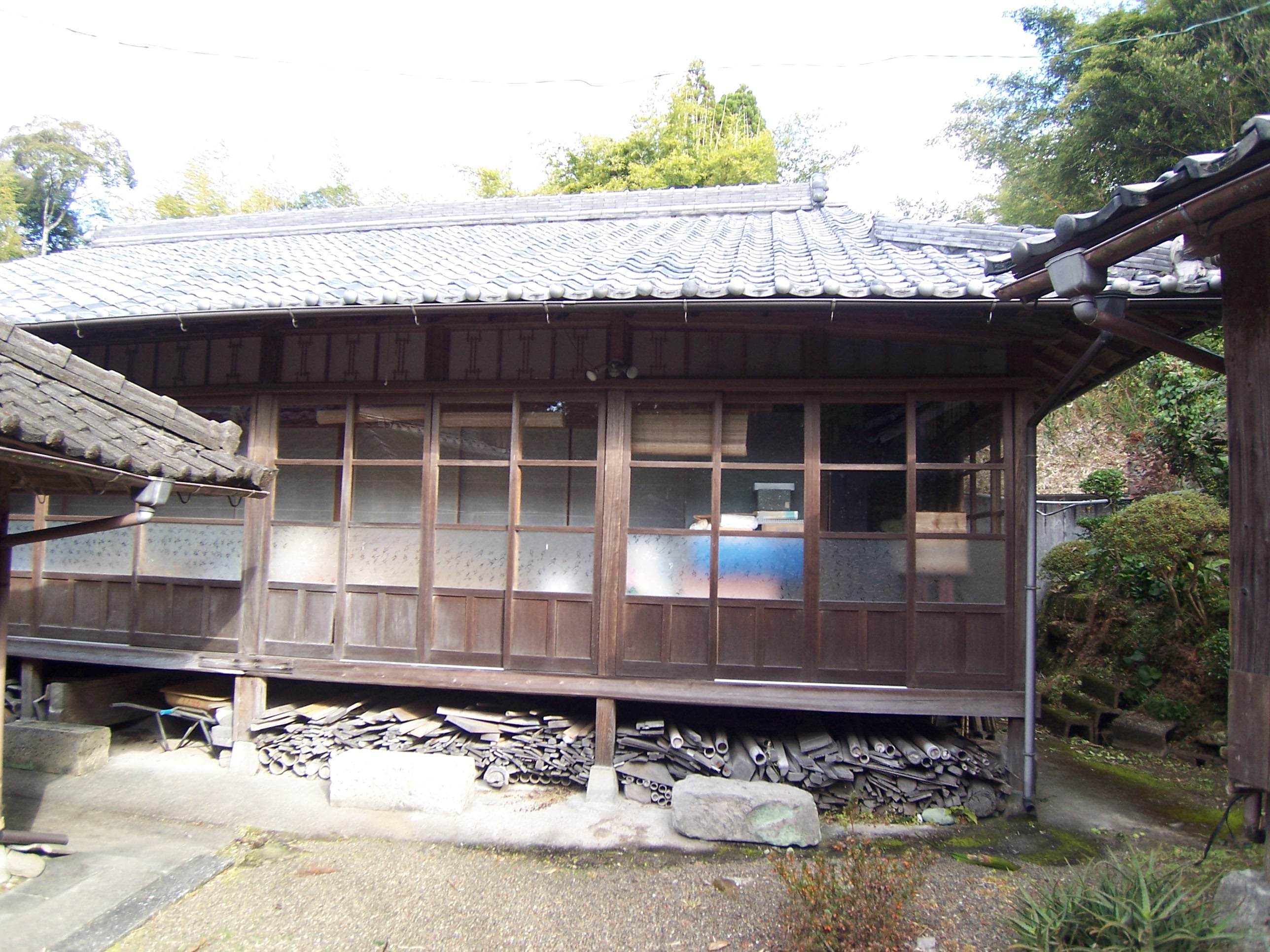 ビカビのもみの木だより:本間