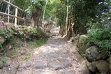 白銀坂の左側が昔住んでいた家の裏山です。