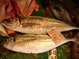 天然物