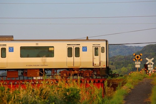214A2432 (2)