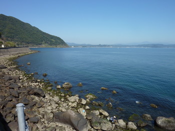 海