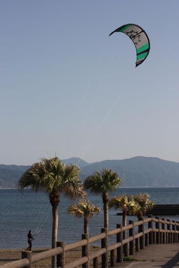 海