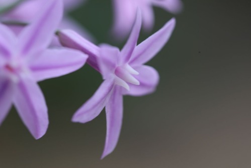 540A9656