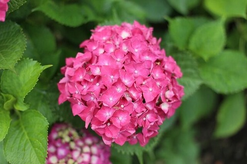 s-540A8268