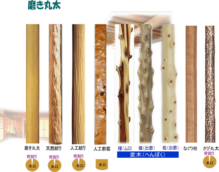 トコ柱 ビカビのもみの木だより