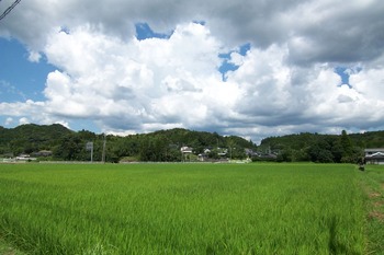 風景