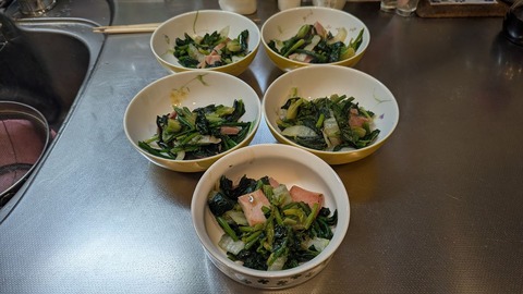 2025-01-24 17.50.13●_R