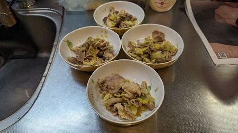 2024-04-25 17.44.08●_R