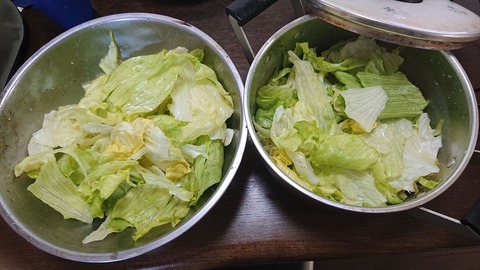 2022-05-24 15.44.49●_R