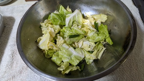 2024-04-24 13.06.15●_R