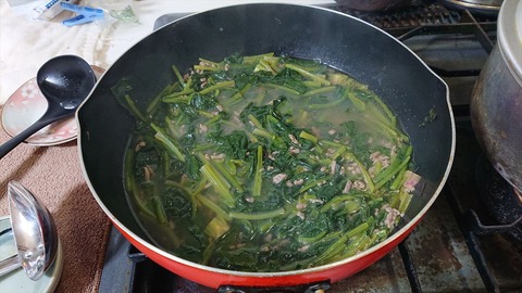 2022-03-22 14.09.16●_R