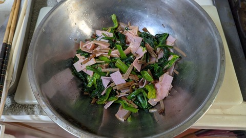 2025-01-29 13.09.50●_R