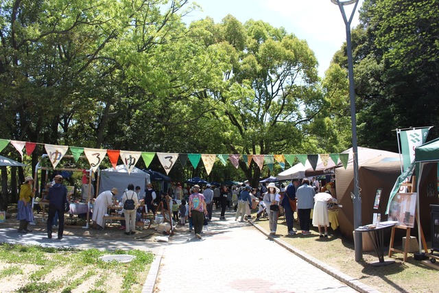 345858054_729769278887605_6567061311916888359_n