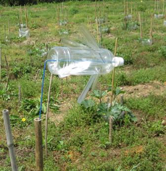 初めてのモグラ退治 津田blog 初めてのモグラ退治 津田blog