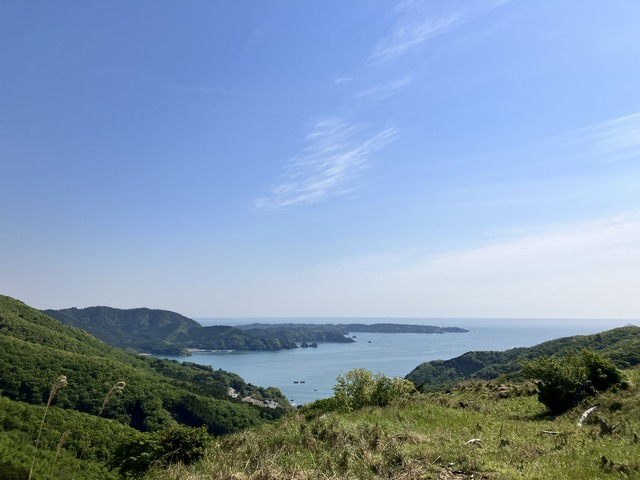 FEBFCB9C-D13D-4494-9567-CB6028EAF629