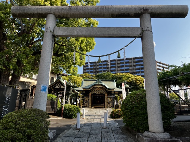 9C0E57EC-E16F-40BB-AF91-5CBAE51598D0