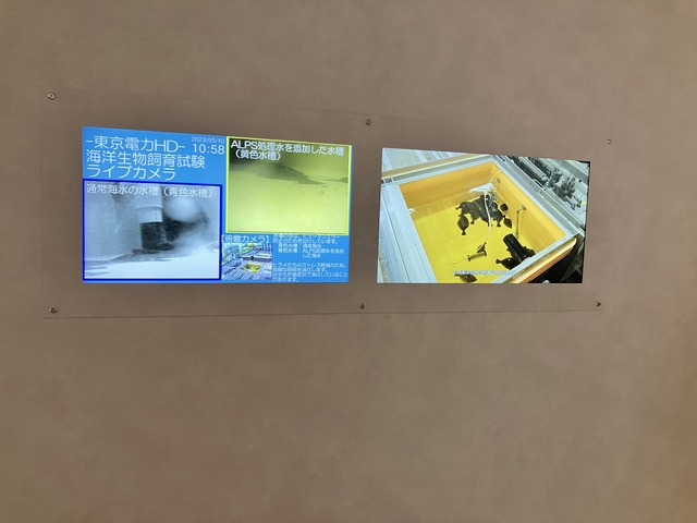 633FC913-355C-4EF6-9122-D608386564C8