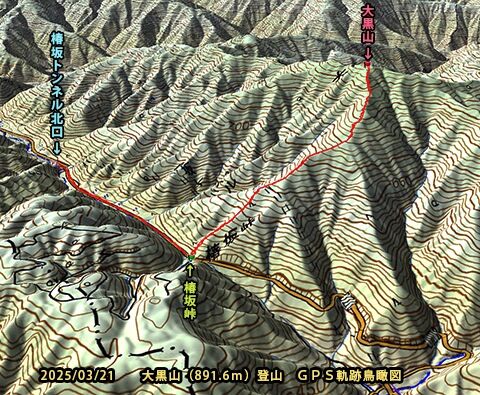 踏み跡のない雪の低山・大黒山（896.1m） 滋賀県長浜市余呉町 2025/03