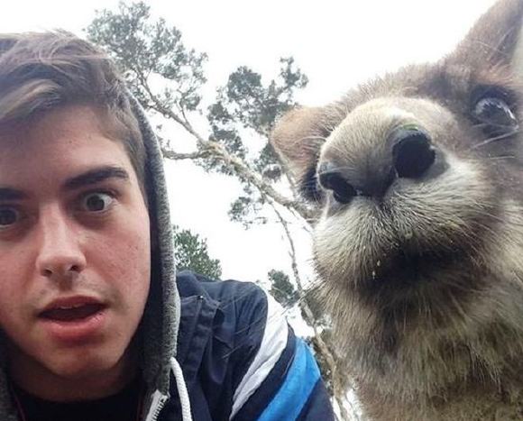 一緒にハイ ポーズ 色んな動物さんのカメラ目線がすっごいかわいい Sinobi ネット