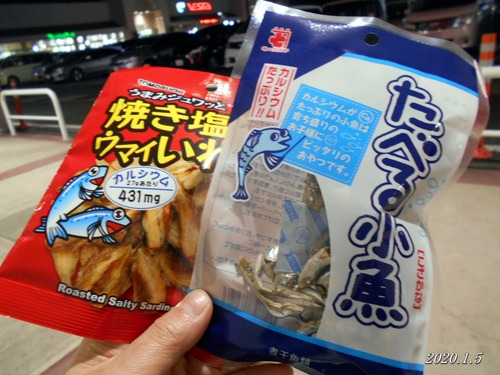 20200105sakana