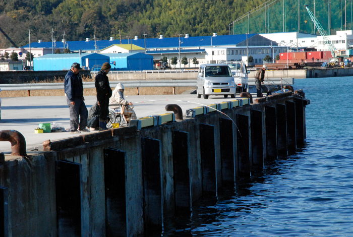 黒島でサバが釣れてる 12 12 新居浜市 すう写真館