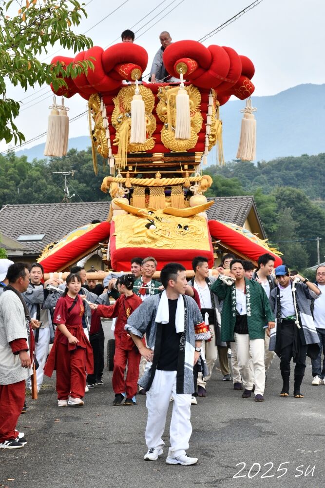 大野地太鼓台 2025年 香川県三豊市財田町 : すう写真館