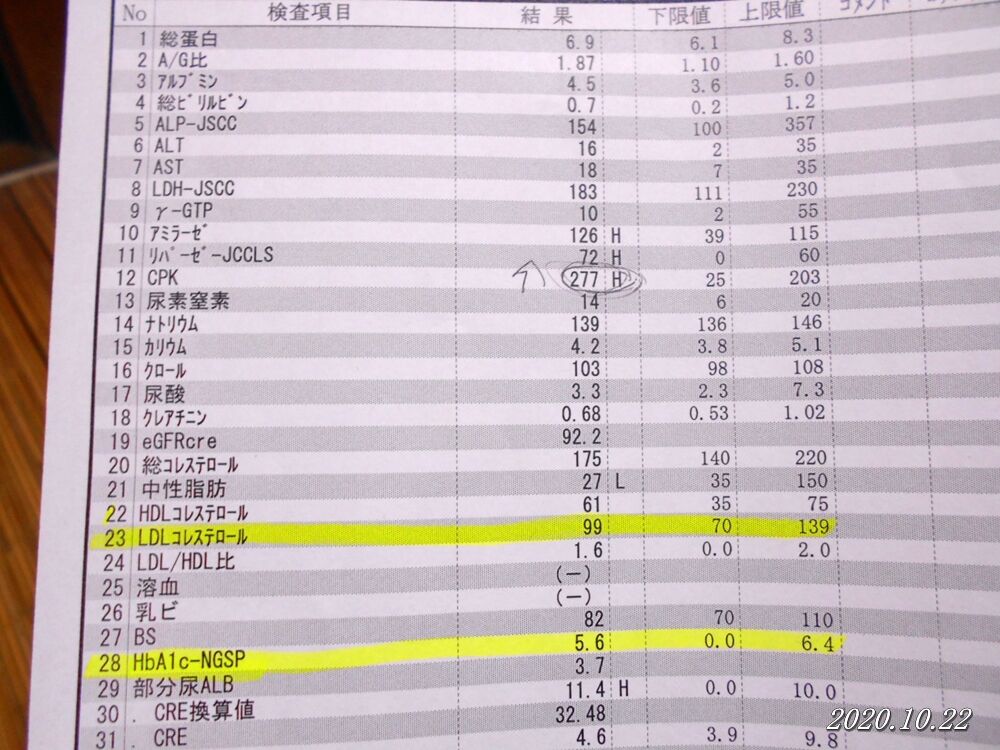 血液検査の結果 悪玉コレステロールが下がった 2020年10月22日 すう写真館