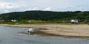 海