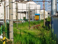 mshirai(ホーム跡地)