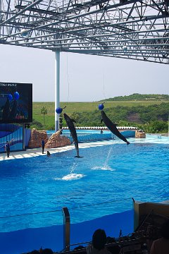 ビッグオーシャン