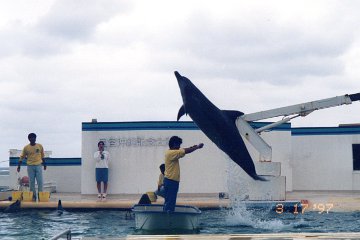 オキちゃん劇場（1997年）