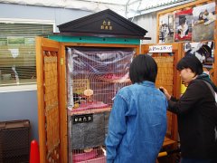 (仮設駅長室)