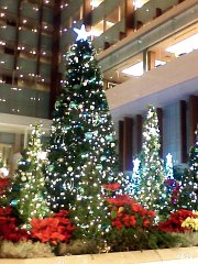 ［Xmasツリー2008］