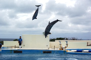 オキちゃん劇場