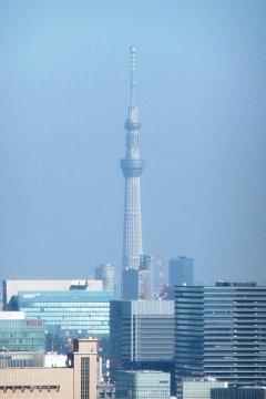 東京タワーからのスカイツリー