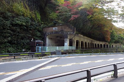 函嶺もみじ橋