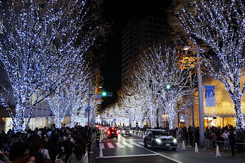 けやき坂イルミ