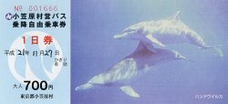 1日券