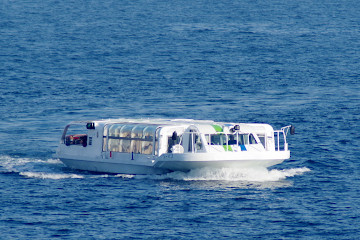 シーバス