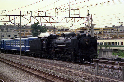 新前橋D51