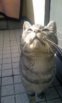 べらんだで
