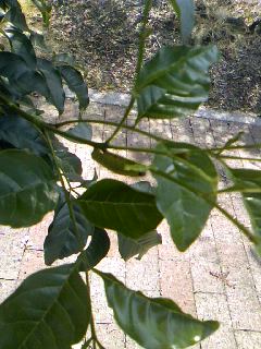 勘違い 気になることは気にしない