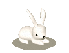 kousagi