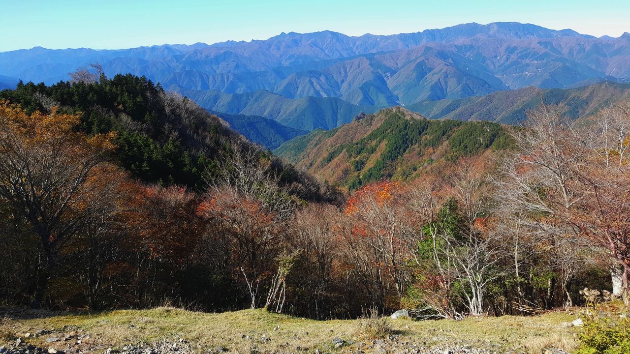 紅葉 大台ケ原ドライブウェイ 快晴再訪 紅葉状況ほか 関東から来て関西を知るブログ 旧 信州絶景 すぐ行ける眺望ドライブ