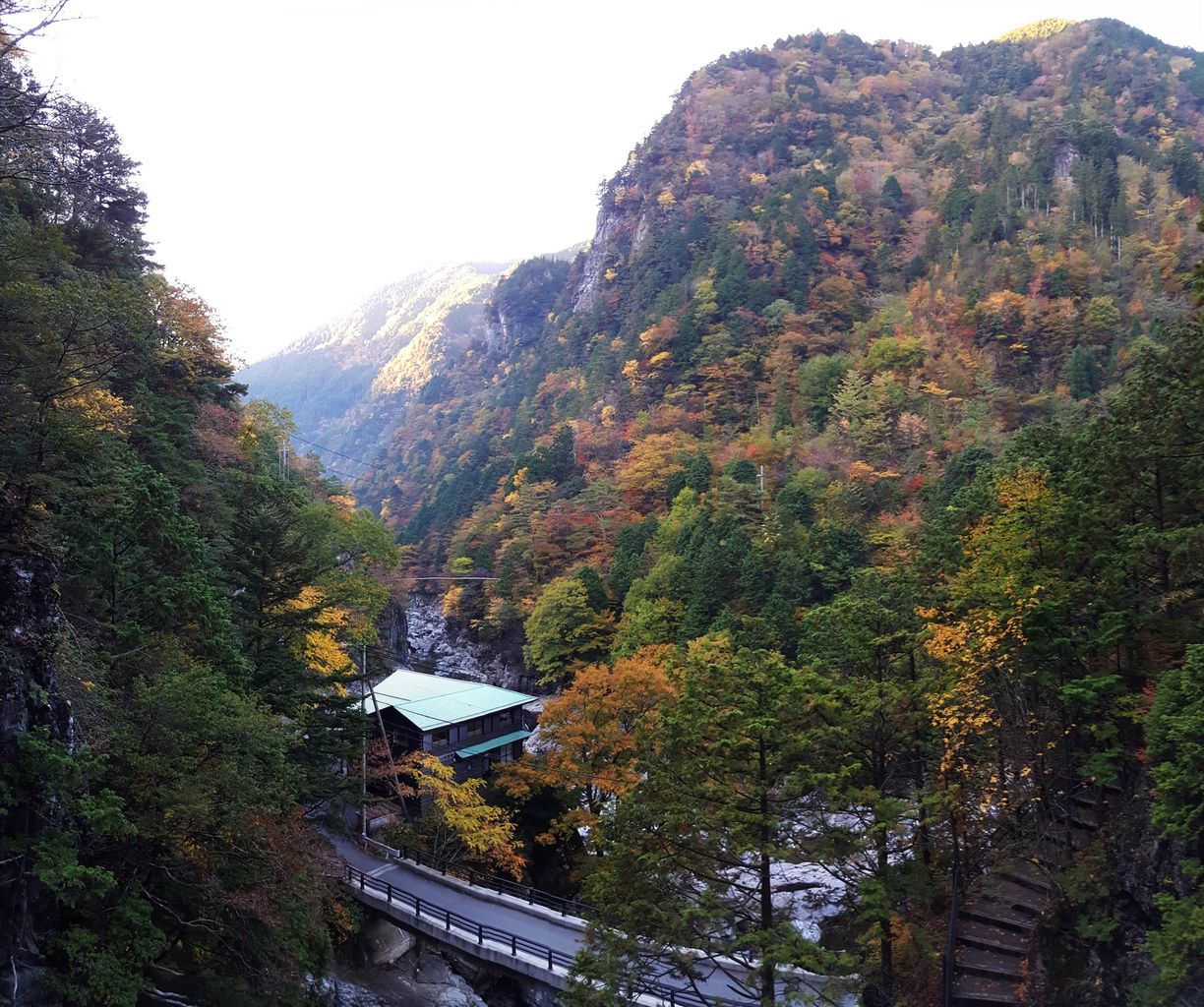 天川村 紅葉 みたらい渓谷 早くも見頃 関東から来て関西を知るブログ 旧 信州絶景 すぐ行ける眺望ドライブ