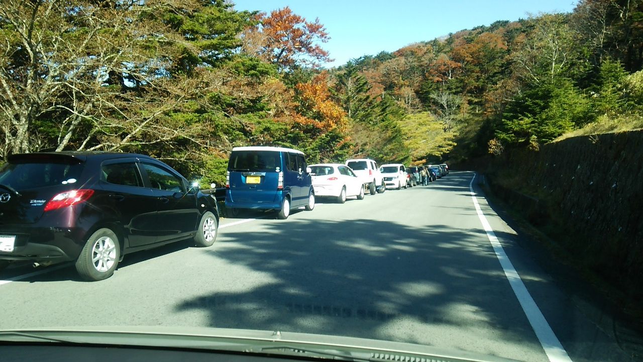 紅葉 大台ケ原ドライブウェイ その他の状況 関東から来て関西を知るブログ 旧 信州絶景 すぐ行ける眺望ドライブ 紅葉 大台ケ原ドライブウェイ その他の状況 関東から来て関西を知るブログ 旧 信州絶景 すぐ行ける眺望ドライブ