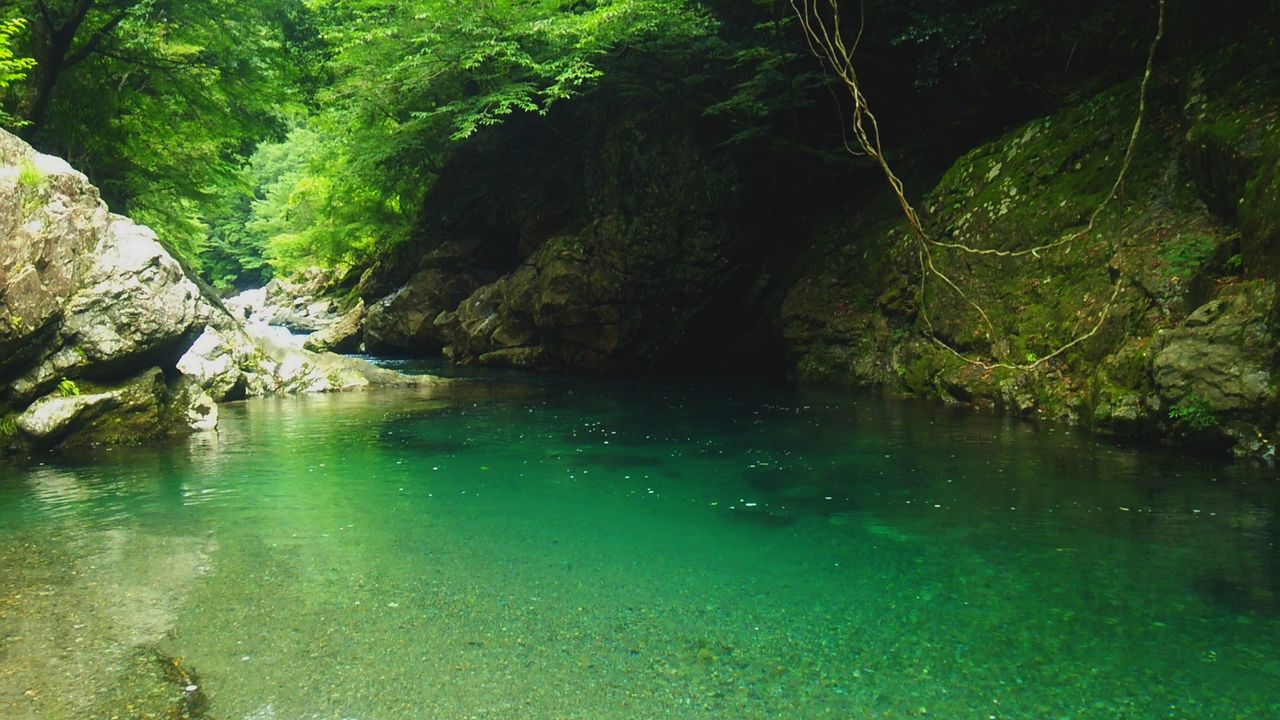 川上村 吉野川の支流 中奥川 関東から来て関西を知るブログ 旧 信州絶景 すぐ行ける眺望ドライブ 川上村 吉野川の支流 中奥川 関東から来て関西を知るブログ 旧 信州絶景 すぐ行ける眺望ドライブ