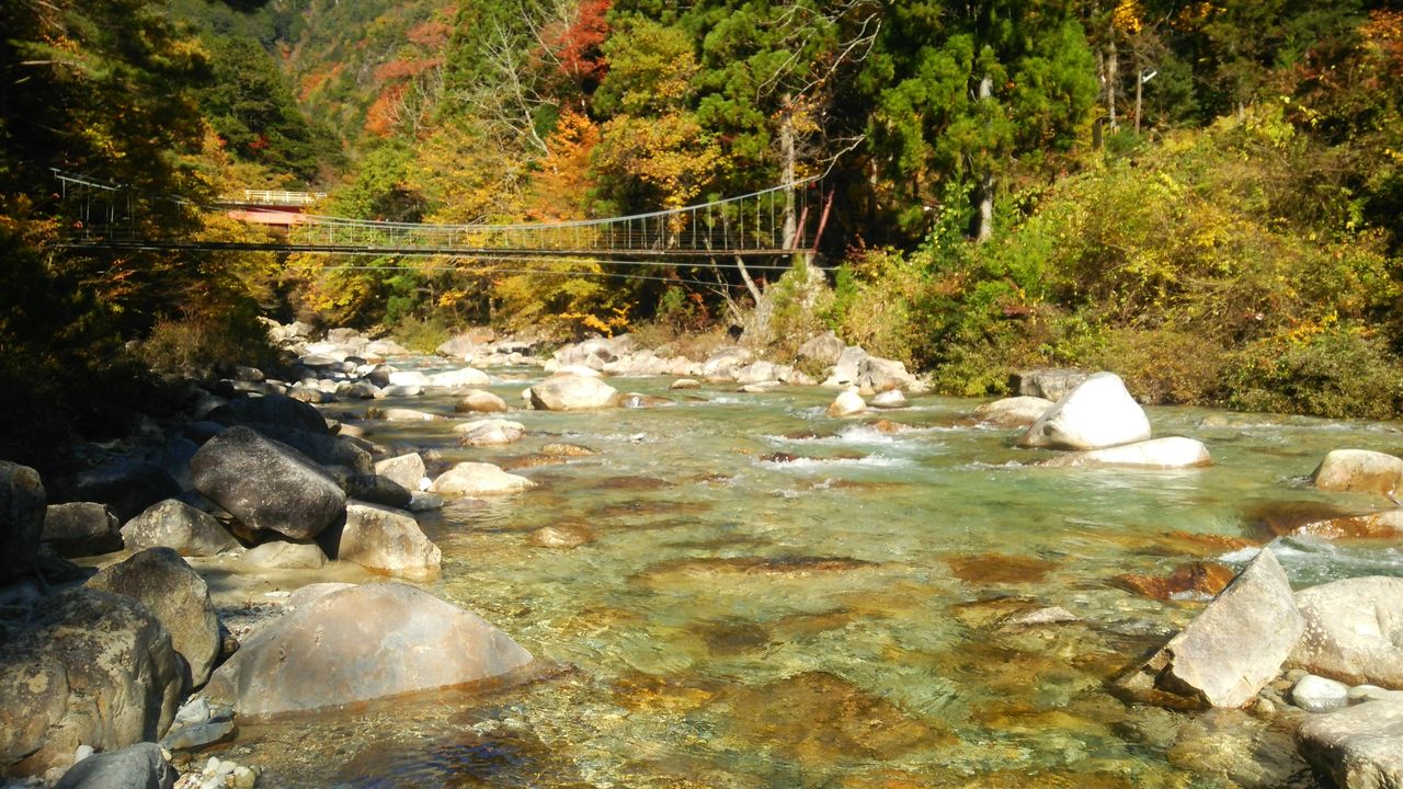 阿寺渓谷と柿其渓谷 紅葉の様子 関東から来て関西を知るブログ 旧 信州絶景 すぐ行ける眺望ドライブ 阿寺渓谷と柿其渓谷 紅葉の様子 関東から来て関西を知るブログ 旧 信州絶景 すぐ行ける眺望ドライブ