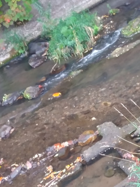 IMG00427_HDR