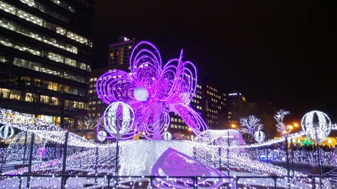 IMG01684_HDR